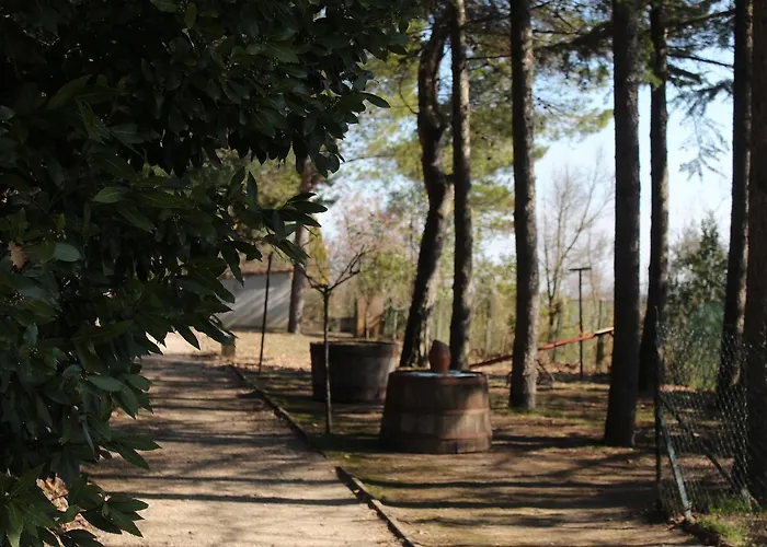 Bed & Breakfast Meditamondo 3*