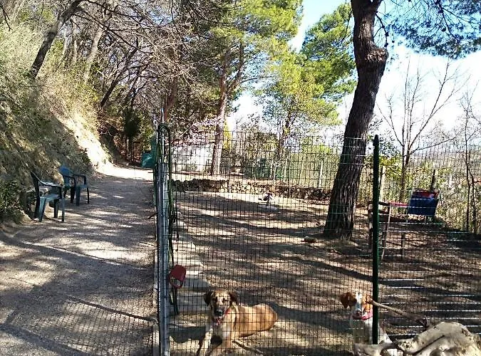 Meditamondo Bed & Breakfast Fano