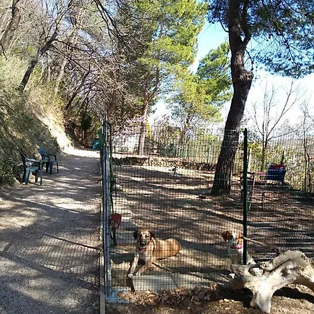 Meditamondo Bed & Breakfast Fano